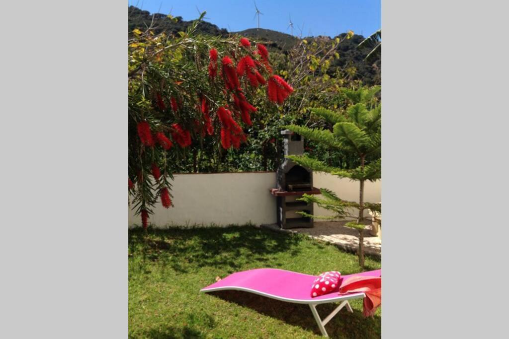 Apartment La Pena Rojo Wifi Tarifa Ngoại thất bức ảnh