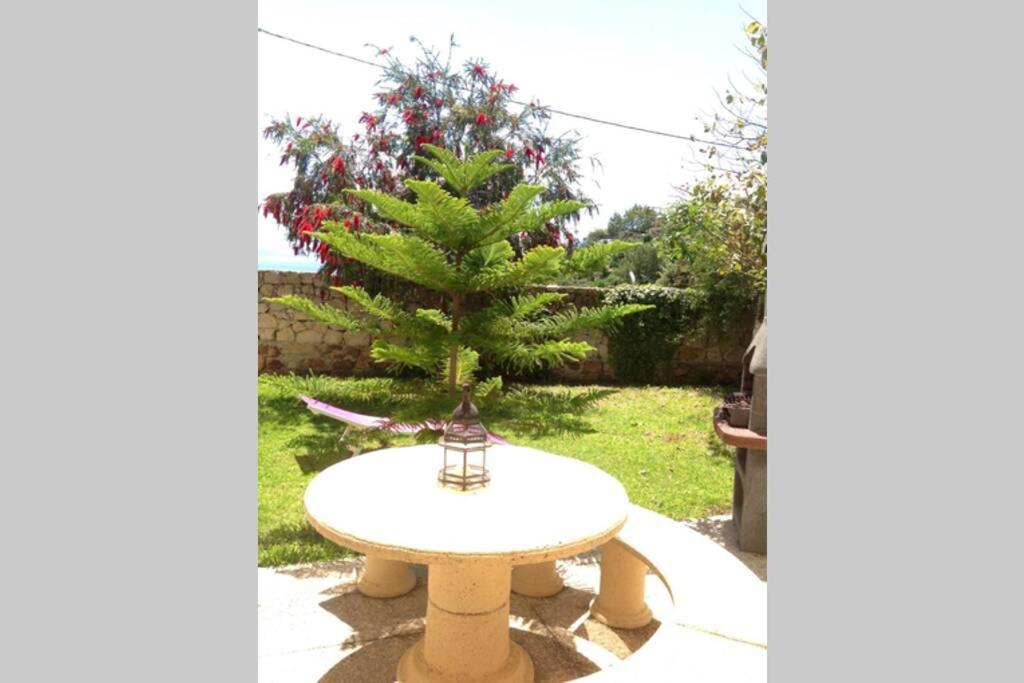 Apartment La Pena Rojo Wifi Tarifa Ngoại thất bức ảnh